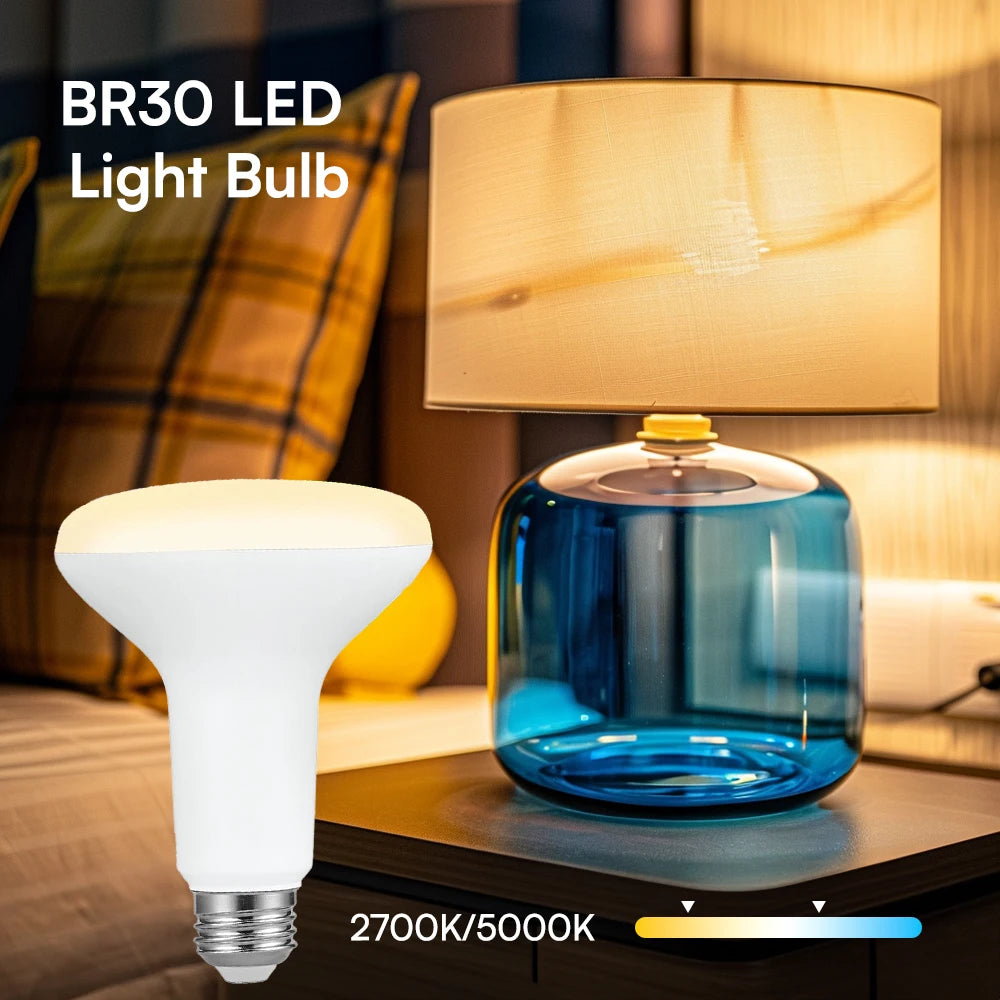 Interior decoration: BR30 LED flood lamp, indoor floodlight with adjustable brightness, daylight white 5000K, warm white 2700K,