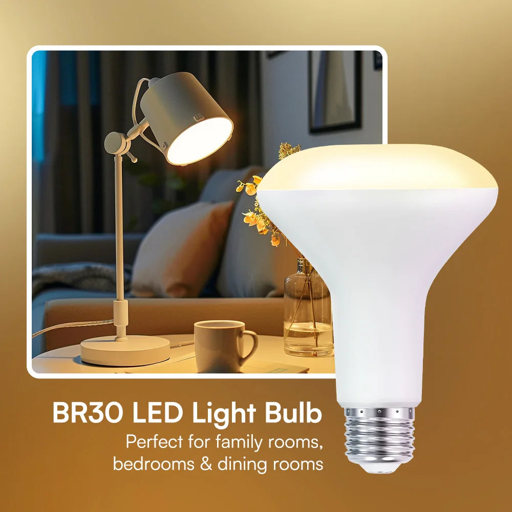 Interior decoration: BR30 LED flood lamp, indoor floodlight with adjustable brightness, daylight white 5000K, warm white 2700K,