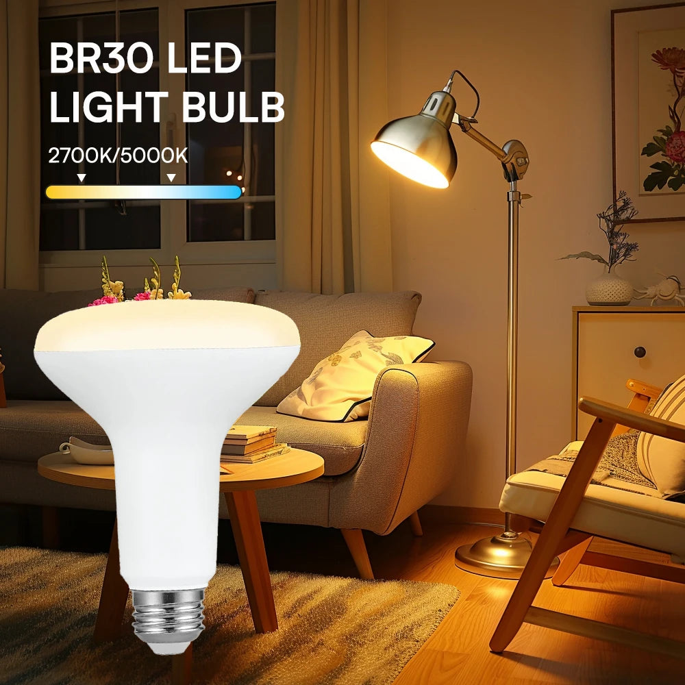 Interior decoration: BR30 LED flood lamp, indoor floodlight with adjustable brightness, daylight white 5000K, warm white 2700K,