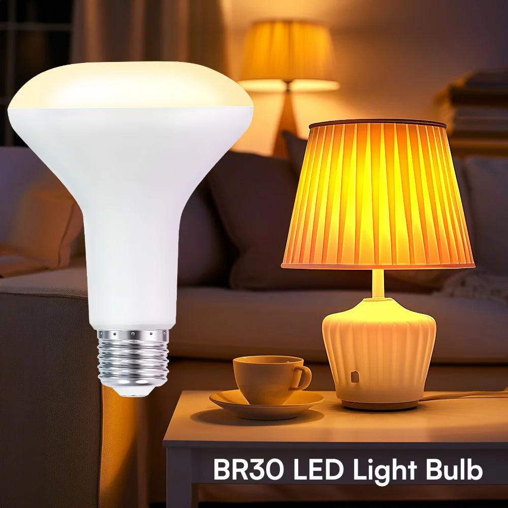 Interior decoration: BR30 LED flood lamp, indoor floodlight with adjustable brightness, daylight white 5000K, warm white 2700K,