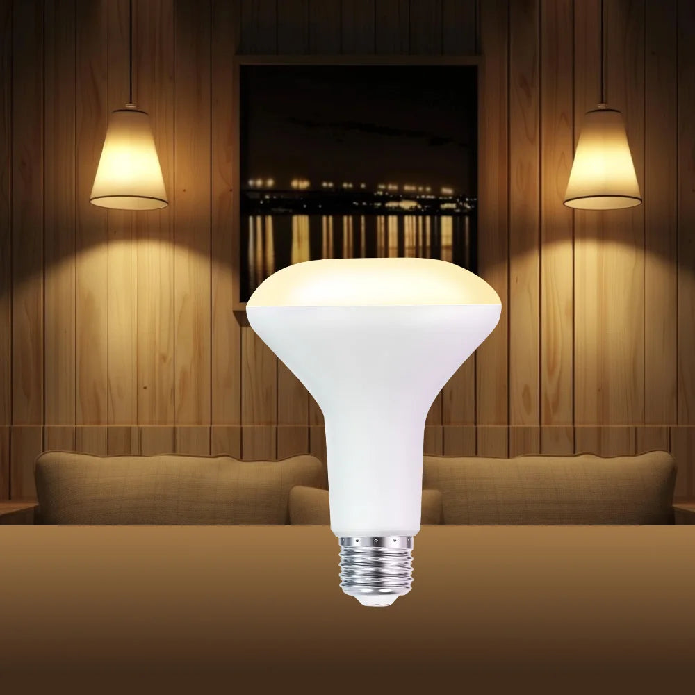 Interior decoration: BR30 LED flood lamp, indoor floodlight with adjustable brightness, daylight white 5000K, warm white 2700K,